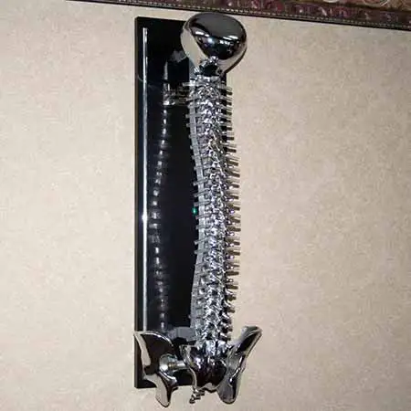 Chiropractic Cambridge MN Metal Spine
